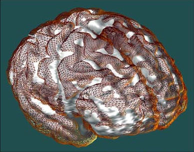 Illustration for article titled This Is What Game Consoles Really Do To Your Brain